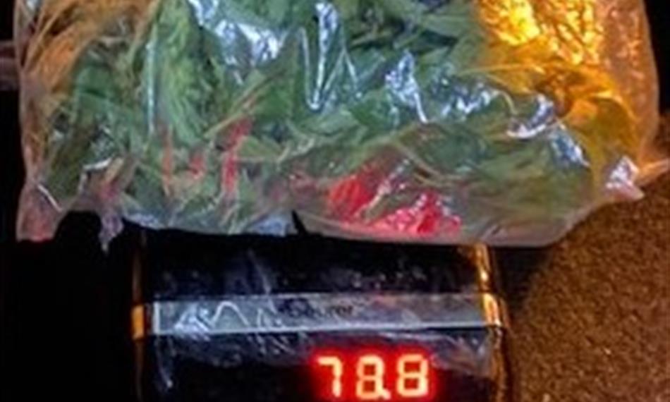 2020-8-25-1059IMG_příloha č. 2.jpg